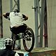 IMG 4779
