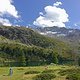 DSC05222-ck