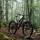 Orbea TT CheesePaths-108