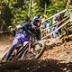Brook Macdonald