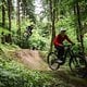 Der Sansily-Trail verläuft in einem sehr grünen Wald und bietet sehr viele, recht enge Richtungswechsel