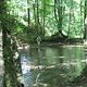 IMG 0052