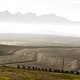 Oak Valley - viele Eichen scheint es nicht mehr zu geben - Foto von Gary Perkin-Cape Epic-SPORTZPICS