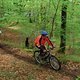 retro-tour seelrider before himself
