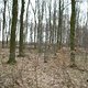 DSCF3185
