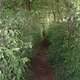 DSCF0115