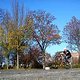 manual in den herbst