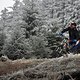 DSC 0107 bearb