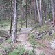Montesole Trail