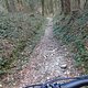 Adersberg-Trail