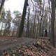 IMG 1510