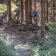 Im Trailground Brilon lässt sich das Handling der Bikes bestens erfahren