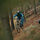 scott-sports-scott-dh-factory-2021-bike-actionImage-by-riley-matthewsShimano x Scott by Riley Matthews-16