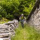 IMG 3406