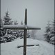 Winterpokal-Aktivität