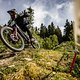 Steffen Smets - DHC Willingen 2025