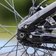 Der Hinterbau lässt sich entweder mit Singlespeed-Antrieb oder alternativ mit Gangschaltung und Schaltauge aufbauen.