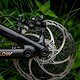 Magura Louise Elite-21