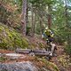 BC Whistler - Cheap Thrills