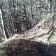 Unbekannter Downhill Trail 2