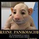 schweinegrippepanikmache