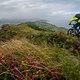 Vom Gipfel geht es über flach abfallende Trails dem Tal entgegen. Am Horizont ist die Bucht von San Sebastián zu erkennen, doch bis dahin liegt noch fast die Hälfte des Weges vor uns.