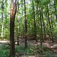 DSC02909