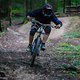 flowtrail (17 von 42)