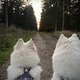 IMG 4717