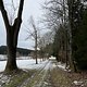 IMG 4564