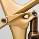 IZZO-29-CF-Core4-CraneGold 0046 w