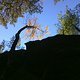 IMG1532