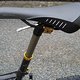 IMG 3337