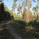 IMG 4493