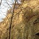 IMG 6461 1