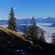 DSC02167-ck