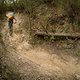 Auf steinigen, schnellen Trails hatten wir zwei Durchschläge des Vorderreifens auf die Felge aus Carbon.