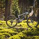 Specialized Enduro-29