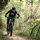 specialized-stumpjumper-action-4886