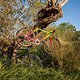 20240824 Serotta Bontrager 01