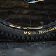 worlds-bikes-frameworks-asa-99799