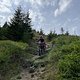 IMG 3699
