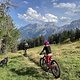 IMG 3693