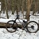 Grunewald Trails
