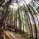 Leogang-Trackwalk-3440