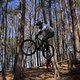 Bike Beerfelden P 302