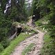 Madatschen Trail 02