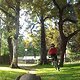 Hometrail