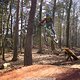 IMG 3172