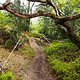 Die Strecken führen hübsch angelegt durch die Wälder am Carrick Mountain und nutzen die vermeintlich wenig Höhenmeter perfekt.
